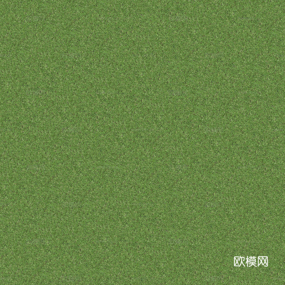 真实质感草地草坡绿地肌理纹理98下载
