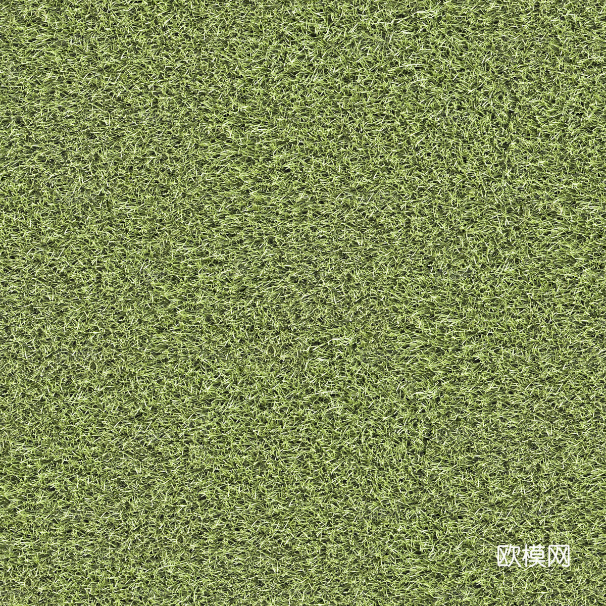 真实质感草地草坡绿地肌理纹理170