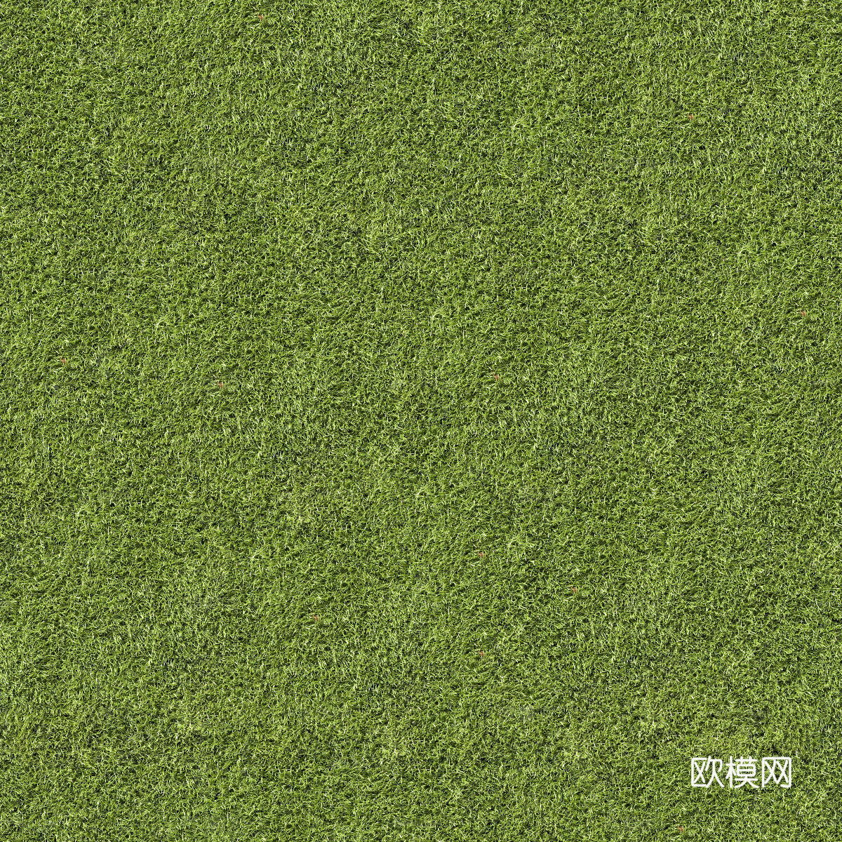 真实质感草地草坡绿地肌理纹理41