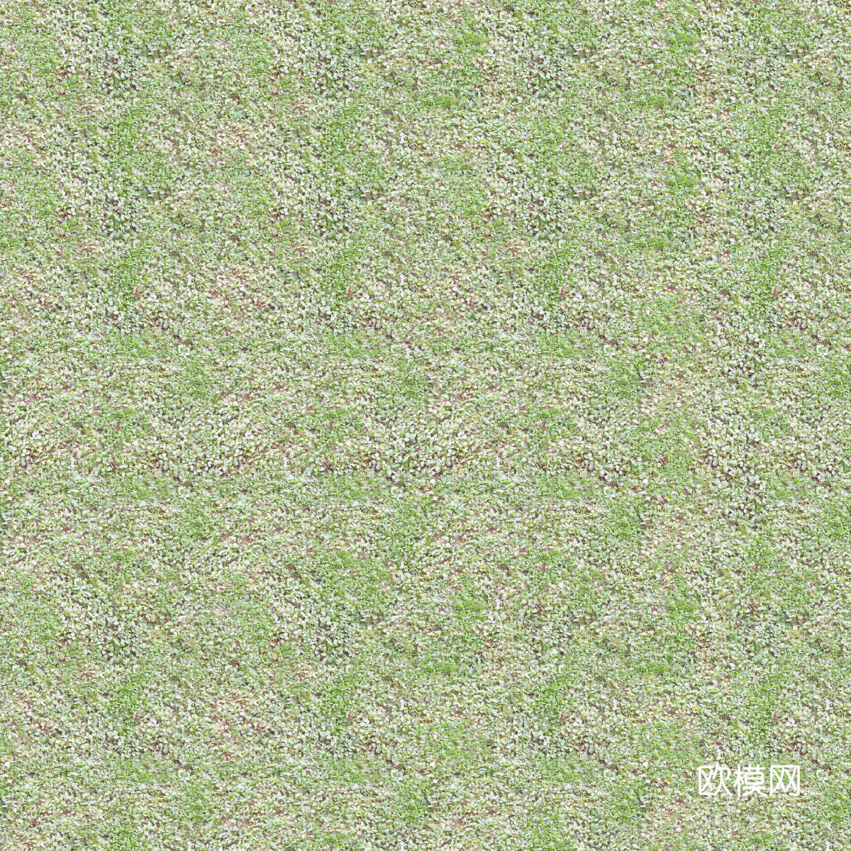 真实质感草地草坡绿地肌理纹理74下载