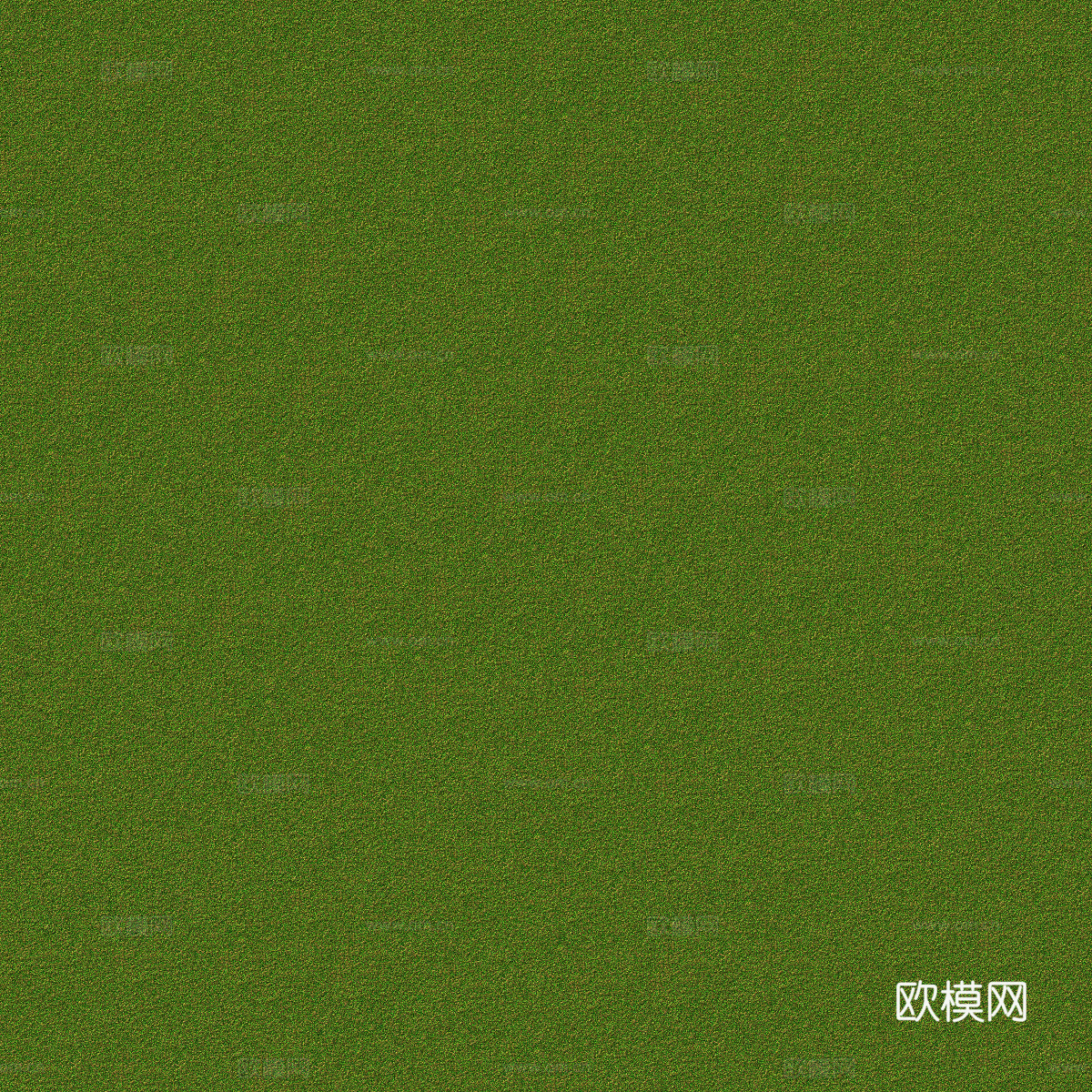 水彩风草地绿地草坡肌理纹理60
