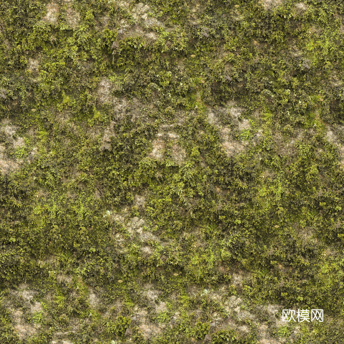 真实质感草地草坡绿地肌理纹理49下载