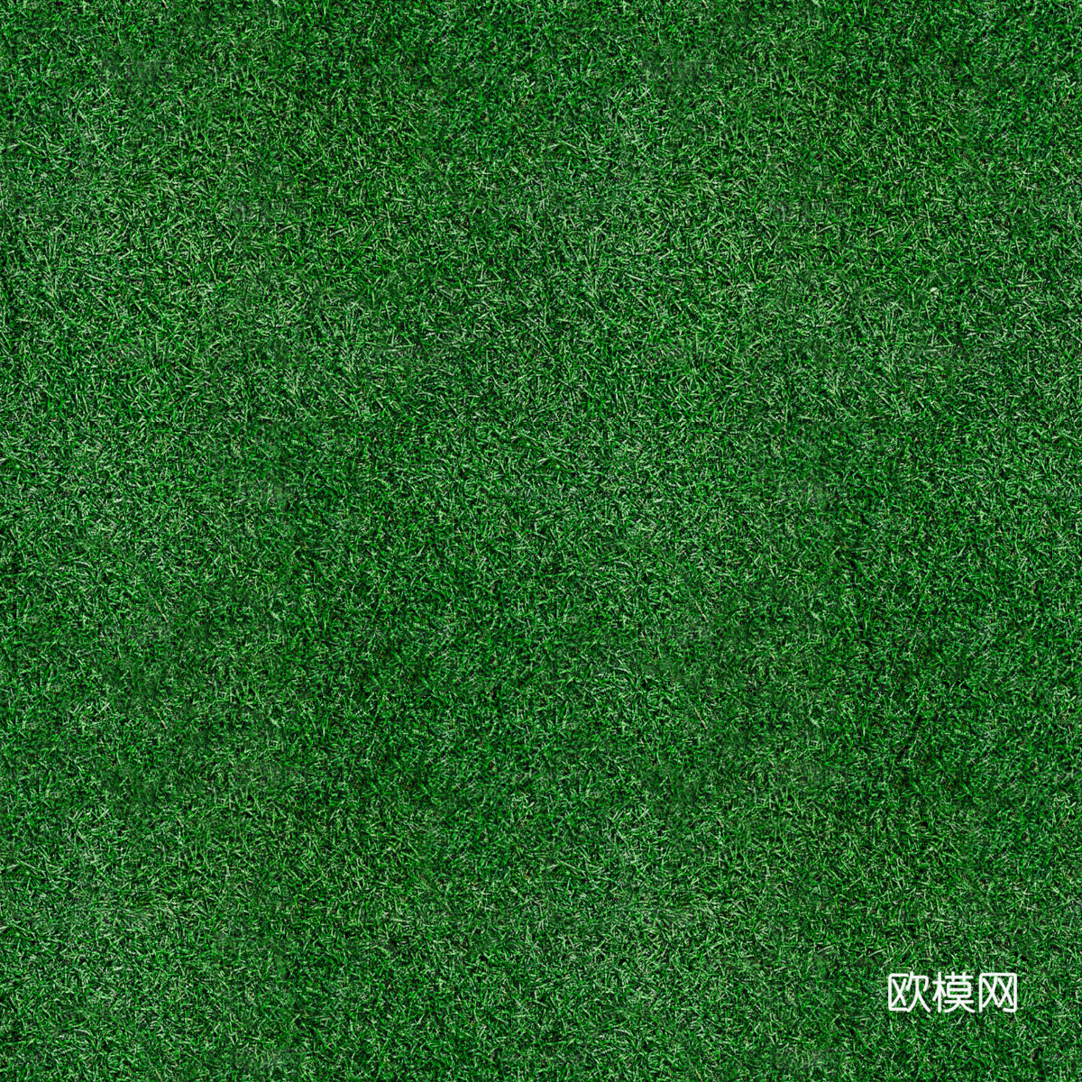 真实质感草地草坡绿地肌理纹理29