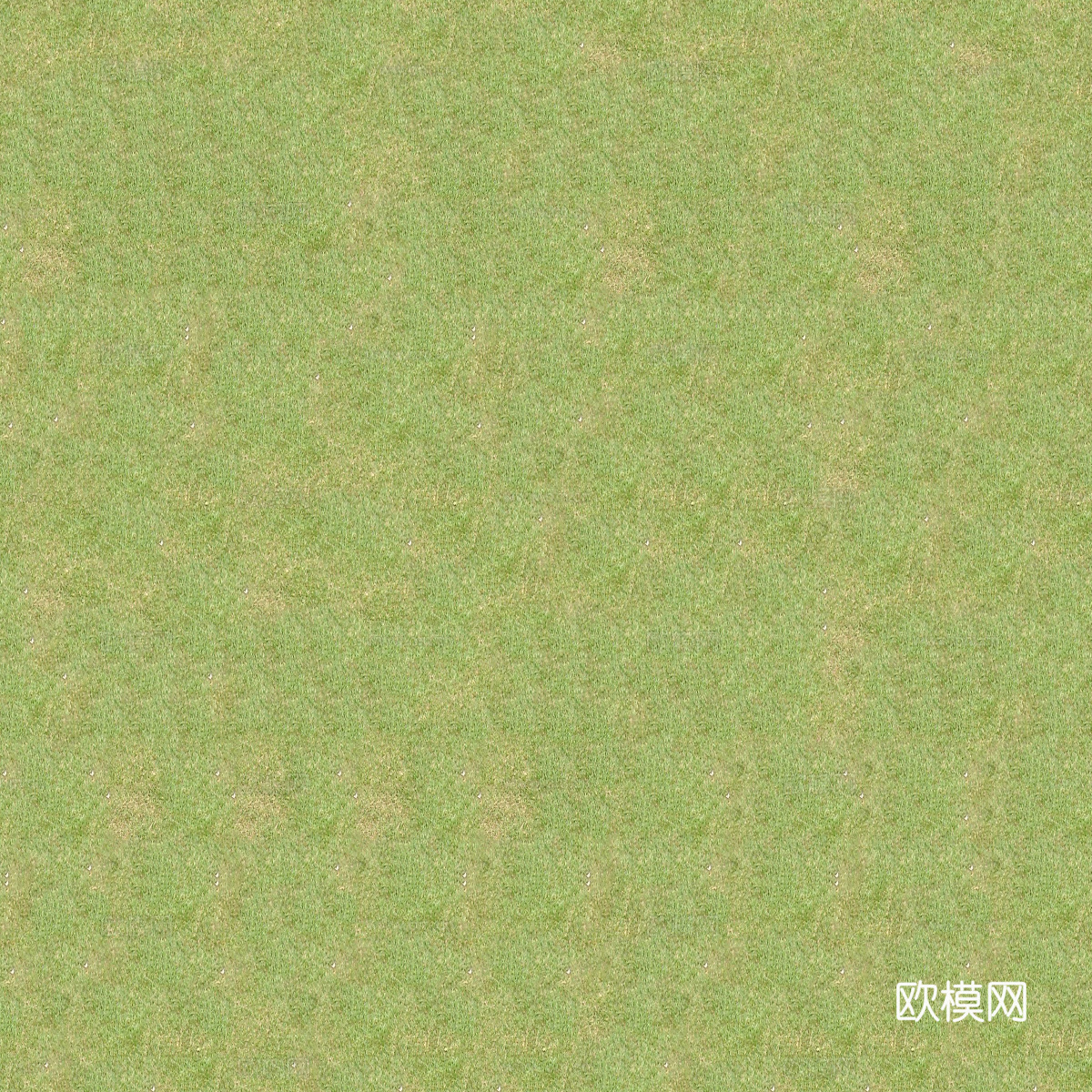 真实质感草地草坡绿地肌理纹理121