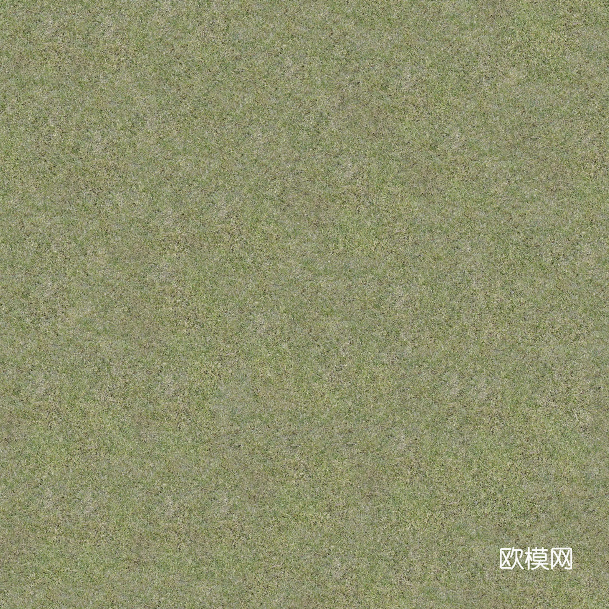 真实质感草地草坡绿地肌理纹理77