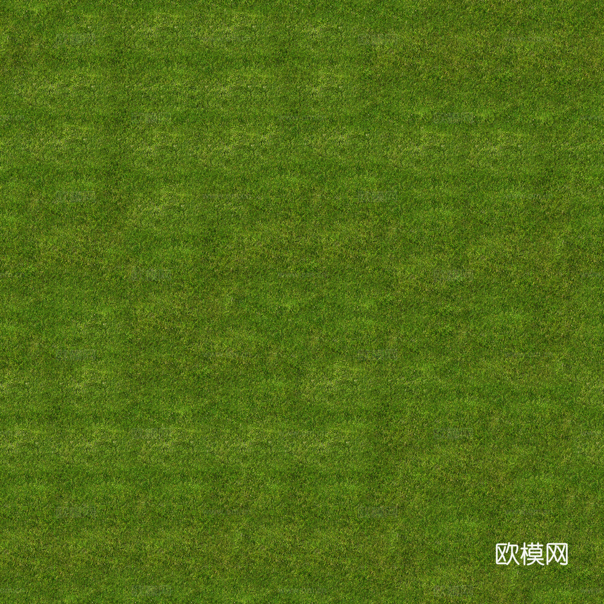 真实质感草地草坡绿地肌理纹理123下载