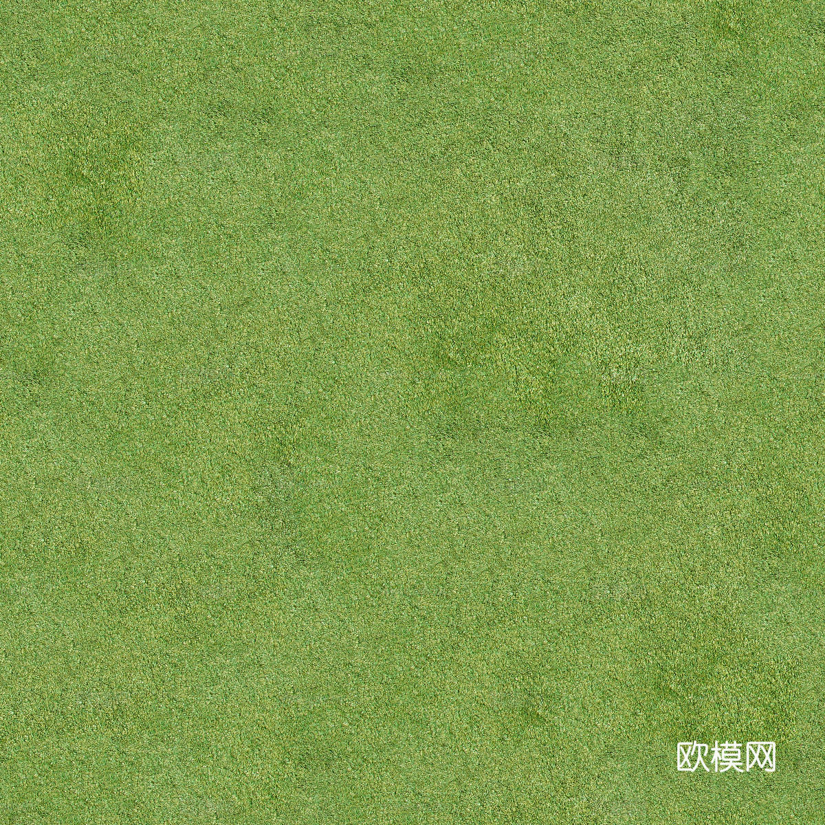 真实质感草地草坡绿地肌理纹理33