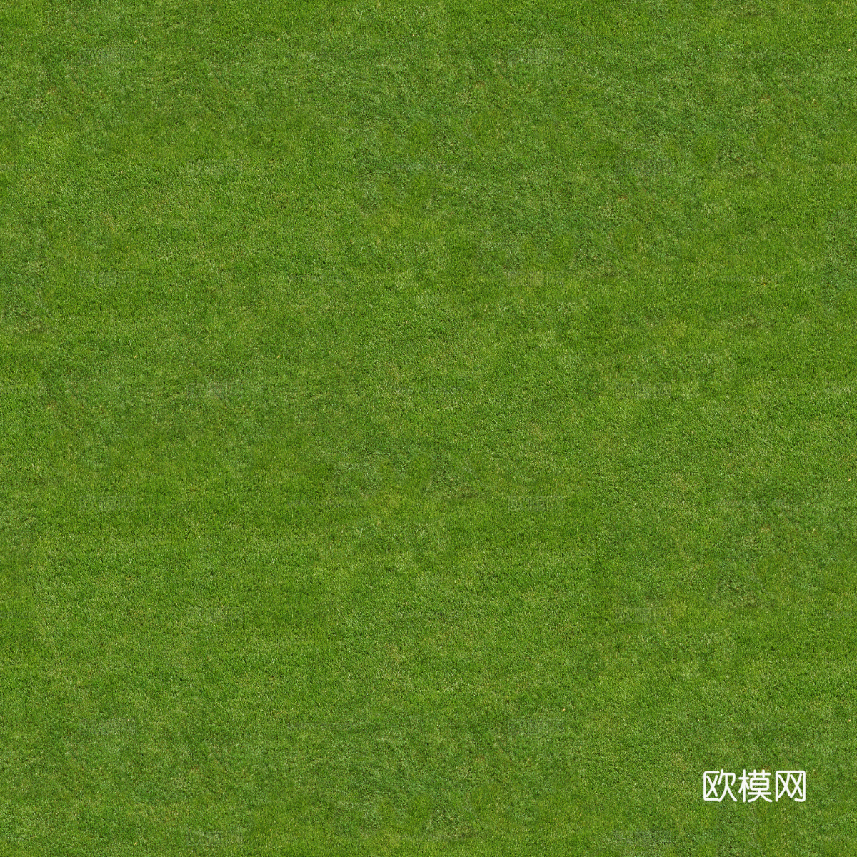 真实质感草地草坡绿地肌理纹理56