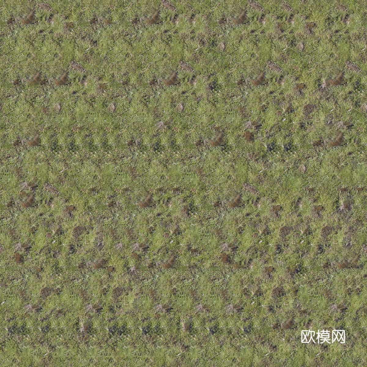 真实质感草地草坡绿地肌理纹理148