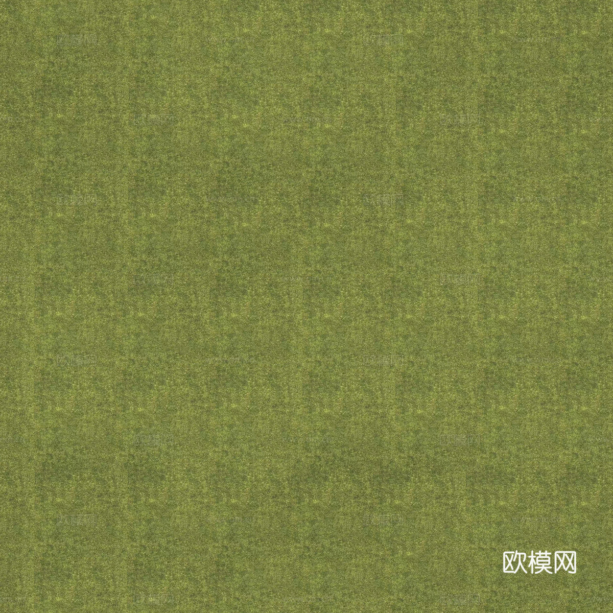 真实质感草地草坡绿地肌理纹理32