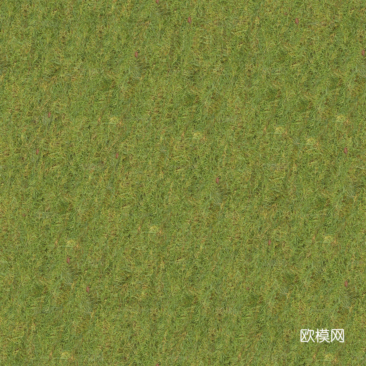 真实质感草地草坡绿地肌理纹理144下载