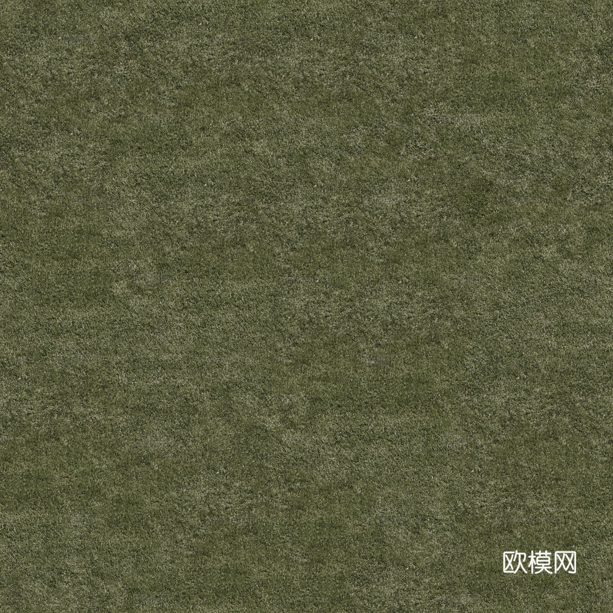 真实质感草地草坡绿地肌理纹理183下载