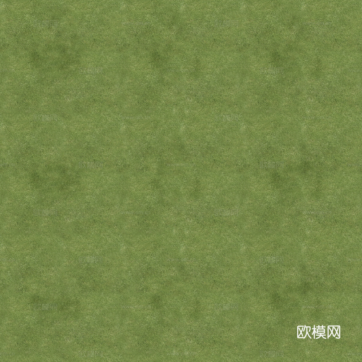 真实质感草地草坡绿地肌理纹理13