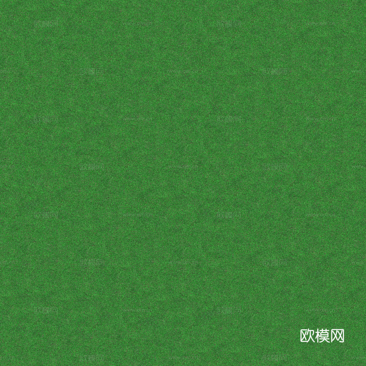 真实质感草地草坡绿地肌理纹理97