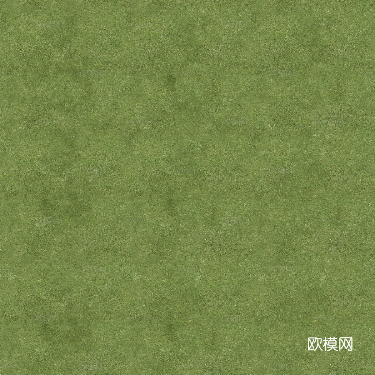 真实质感草地草坡绿地肌理纹理57