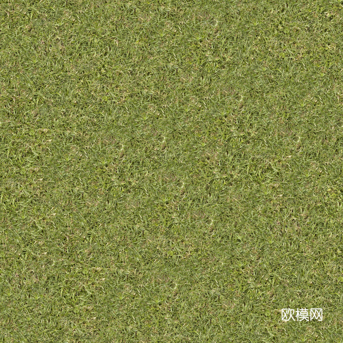 真实质感草地草坡绿地肌理纹理187下载