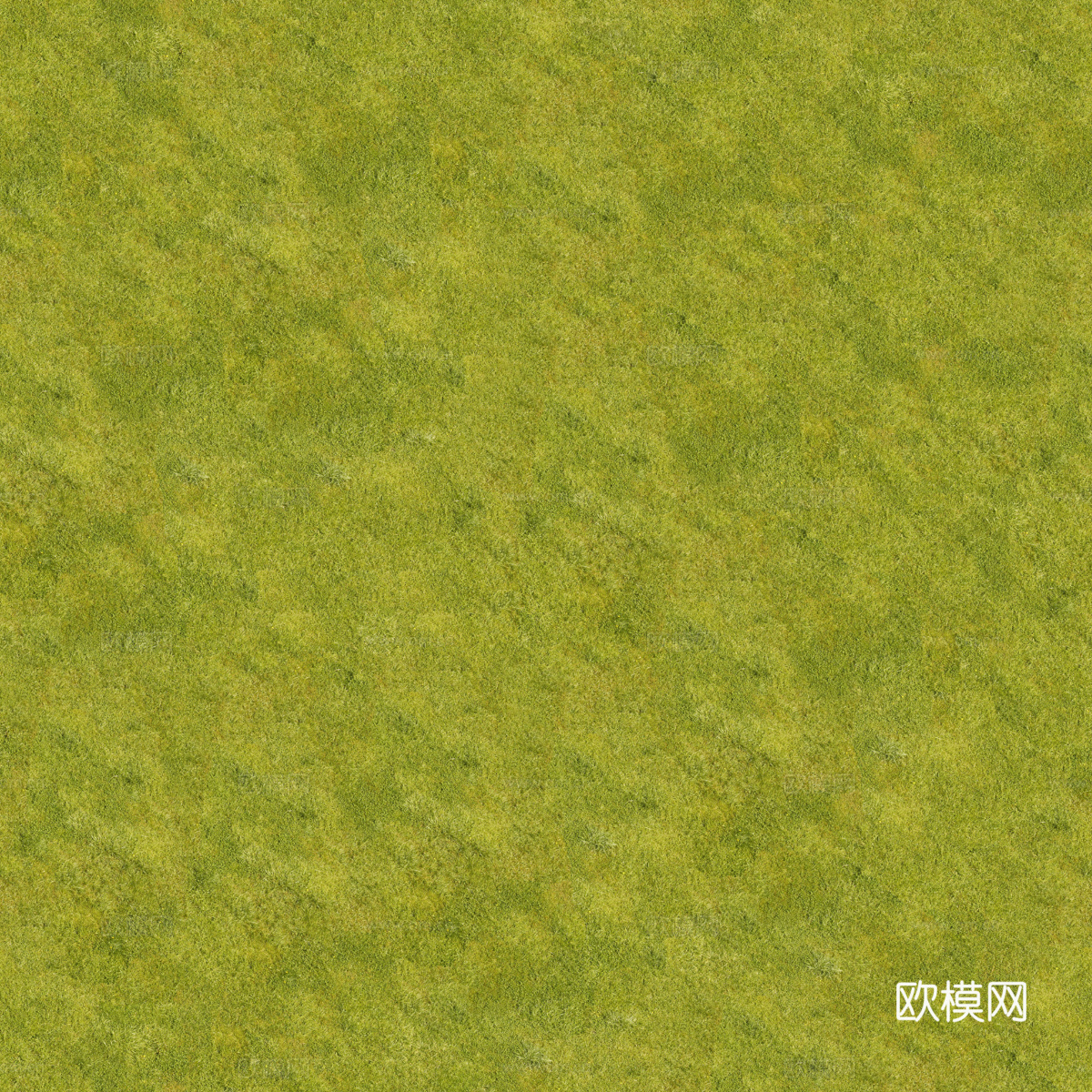 真实质感草地草坡绿地肌理纹理185
