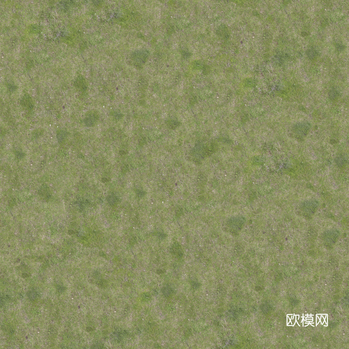 真实质感草地草坡绿地肌理纹理193