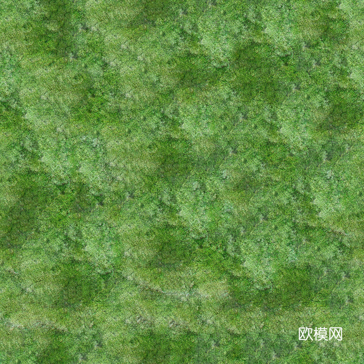 水彩风草地绿地草坡肌理纹理36