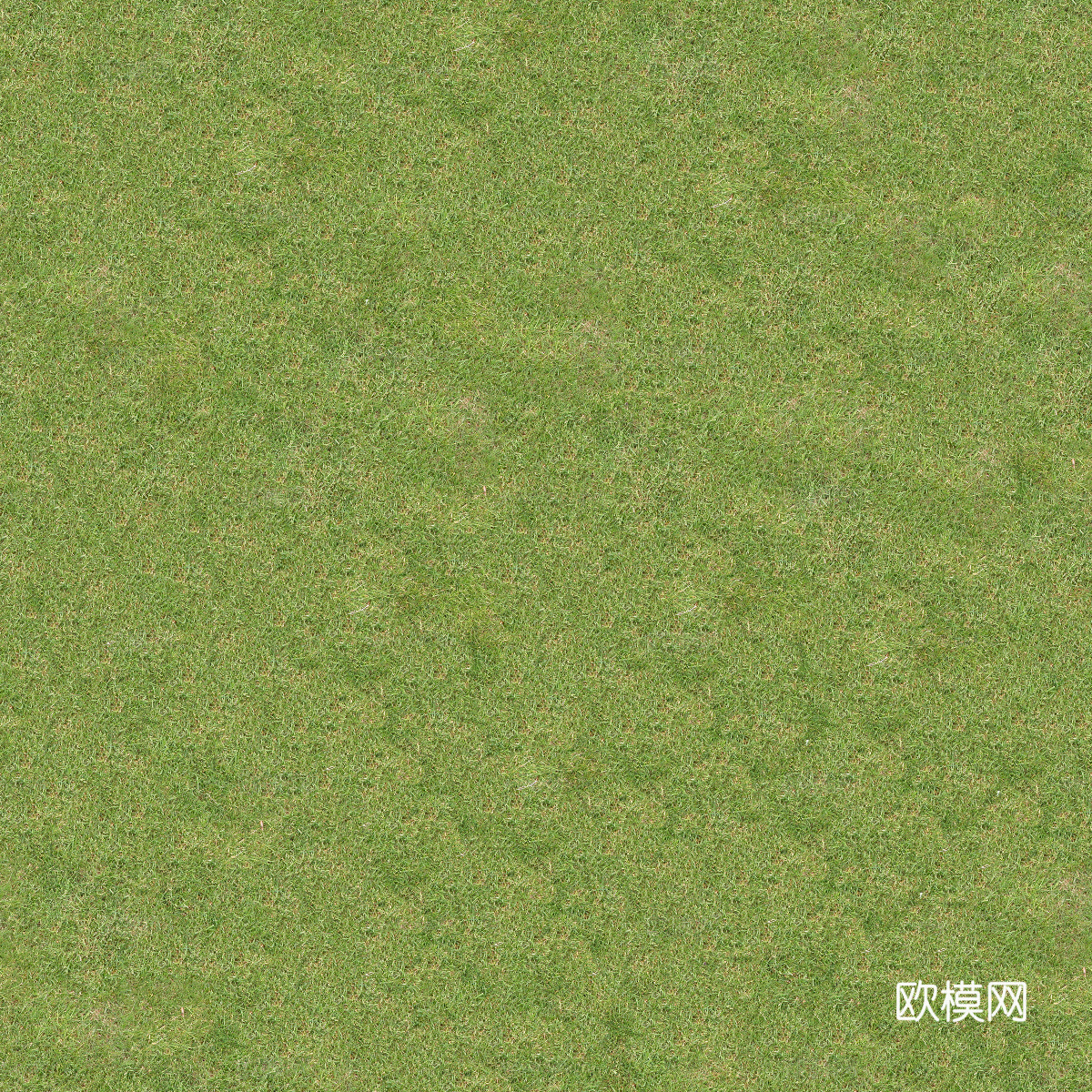 真实质感草地草坡绿地肌理纹理129