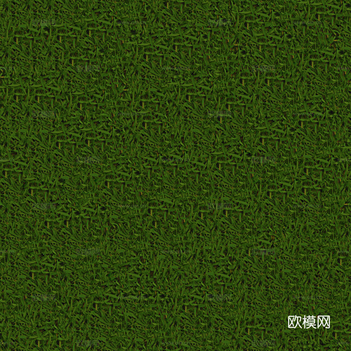 真实质感草地草坡绿地肌理纹理133