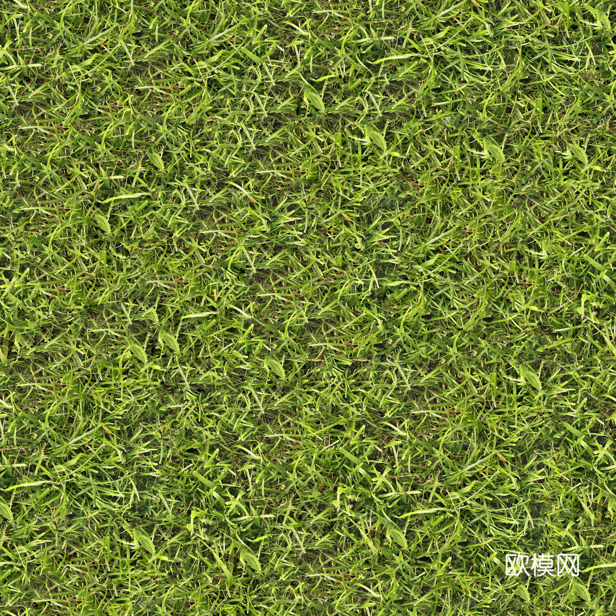 真实质感草地草坡绿地肌理纹理154下载