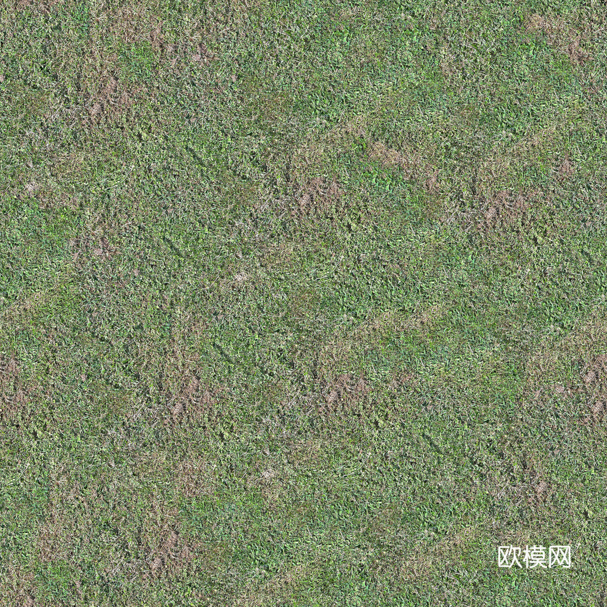 真实质感草地草坡绿地肌理纹理171