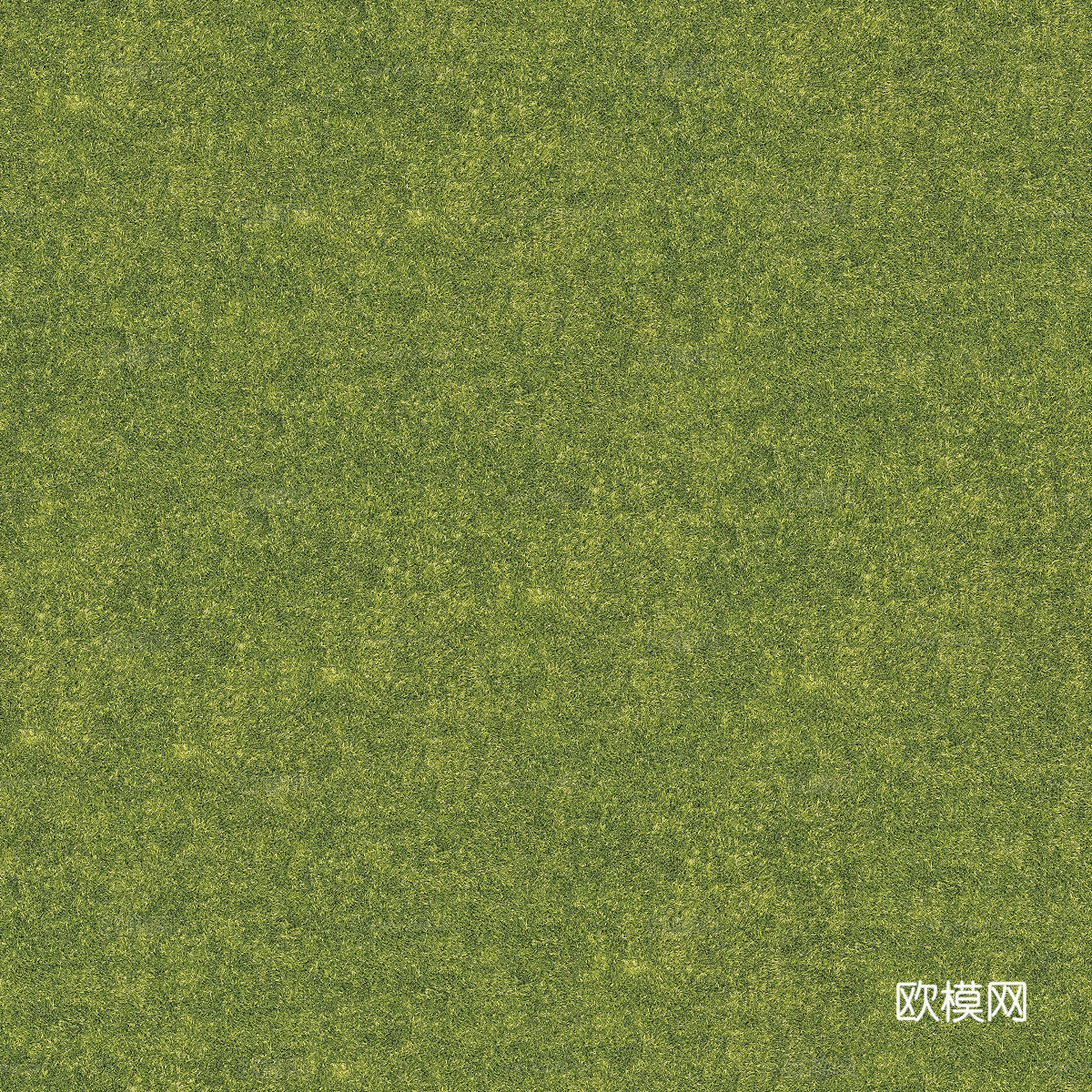 真实质感草地草坡绿地肌理纹理69
