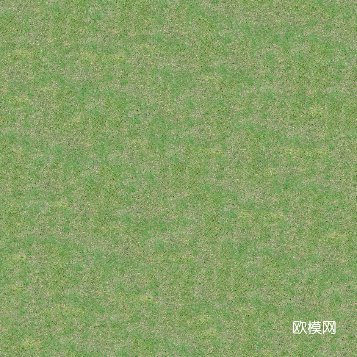 真实质感草地草坡绿地肌理纹理120