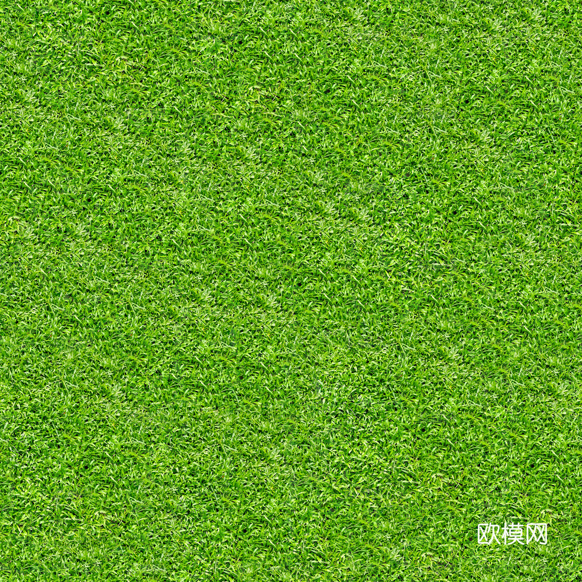 真实质感草地草坡绿地肌理纹理115