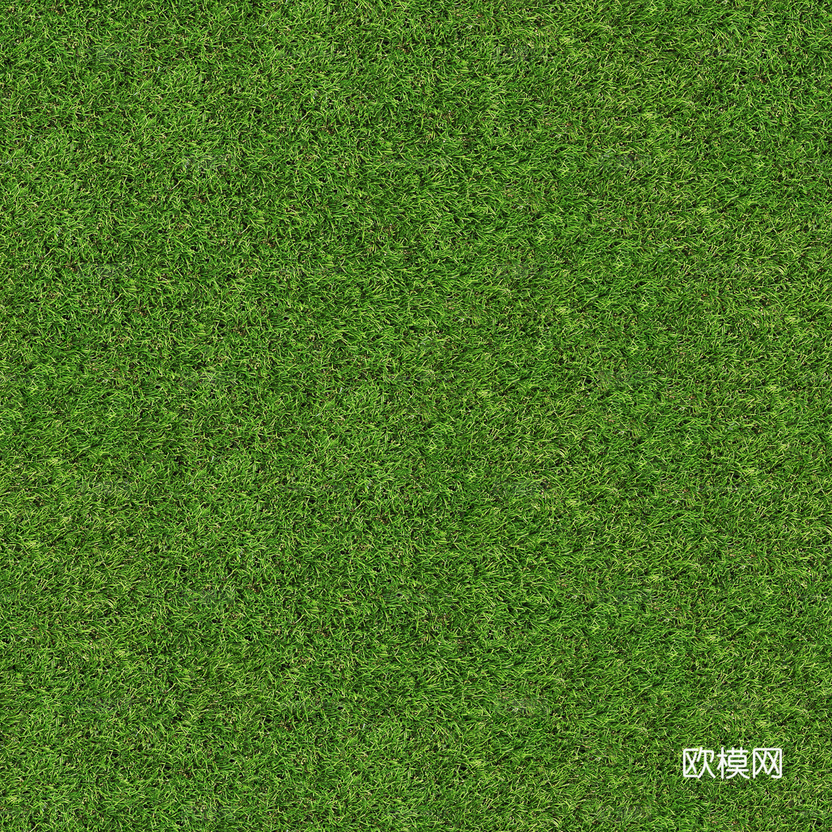 真实质感草地草坡绿地肌理纹理173