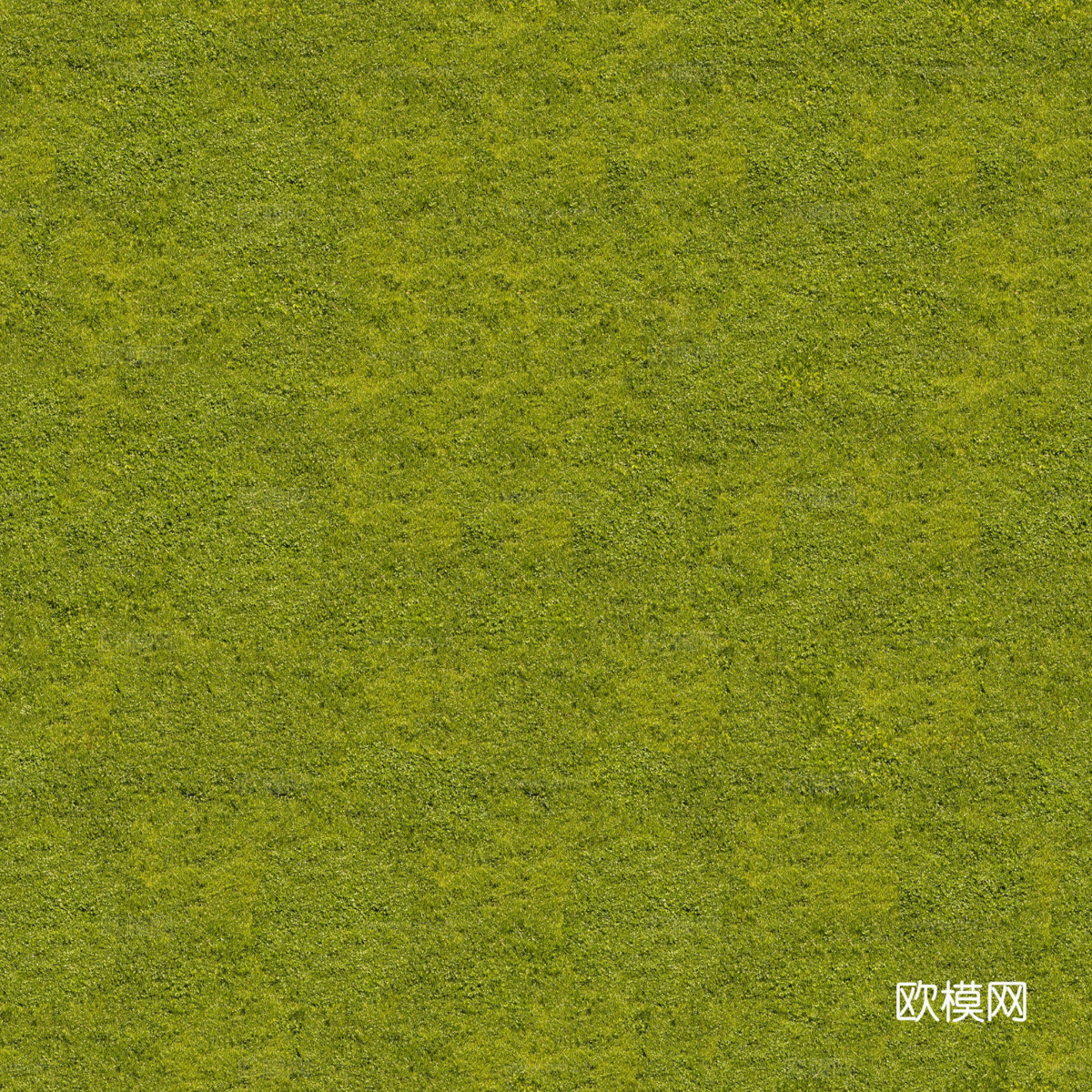 真实质感草地草坡绿地肌理纹理186下载