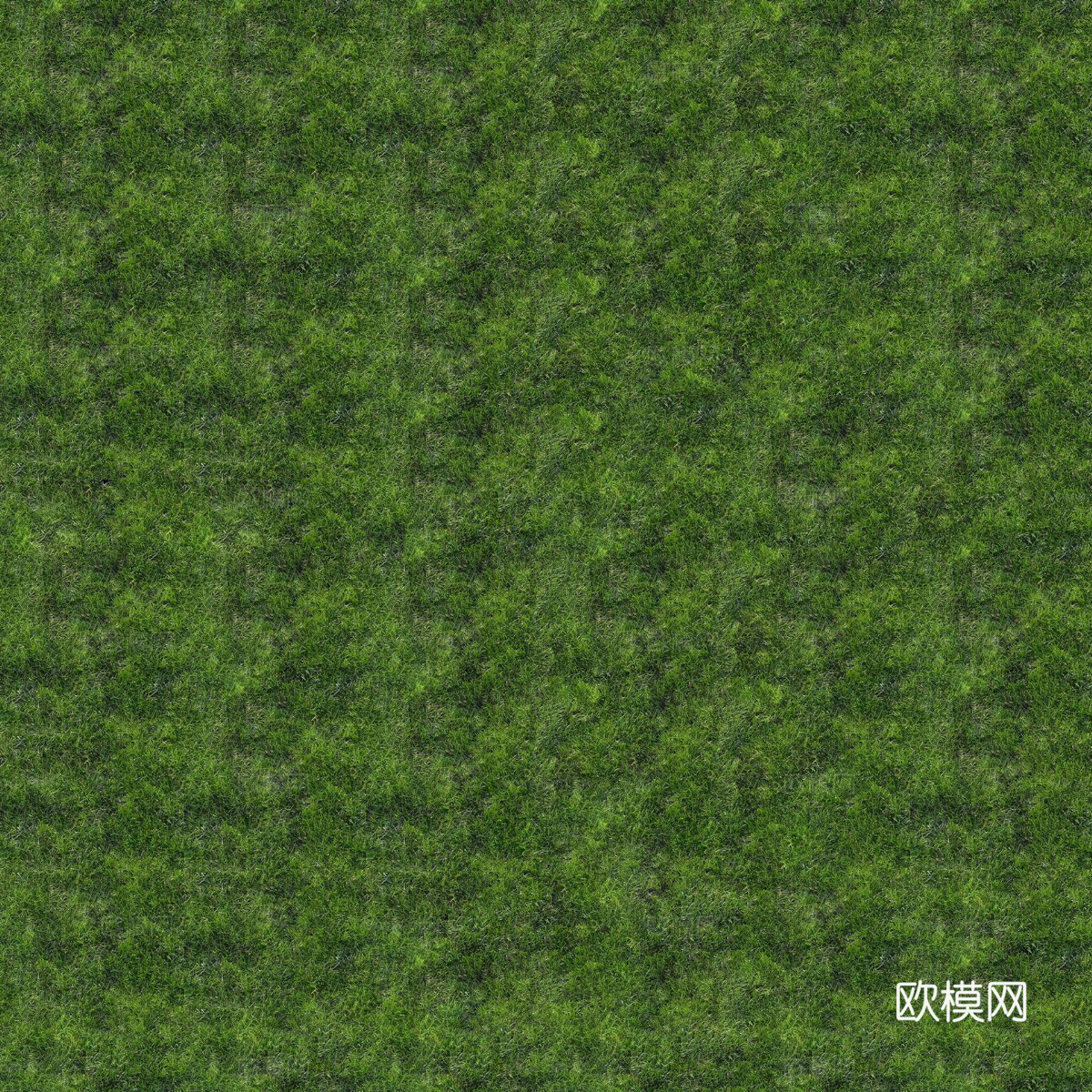 真实质感草地草坡绿地肌理纹理67