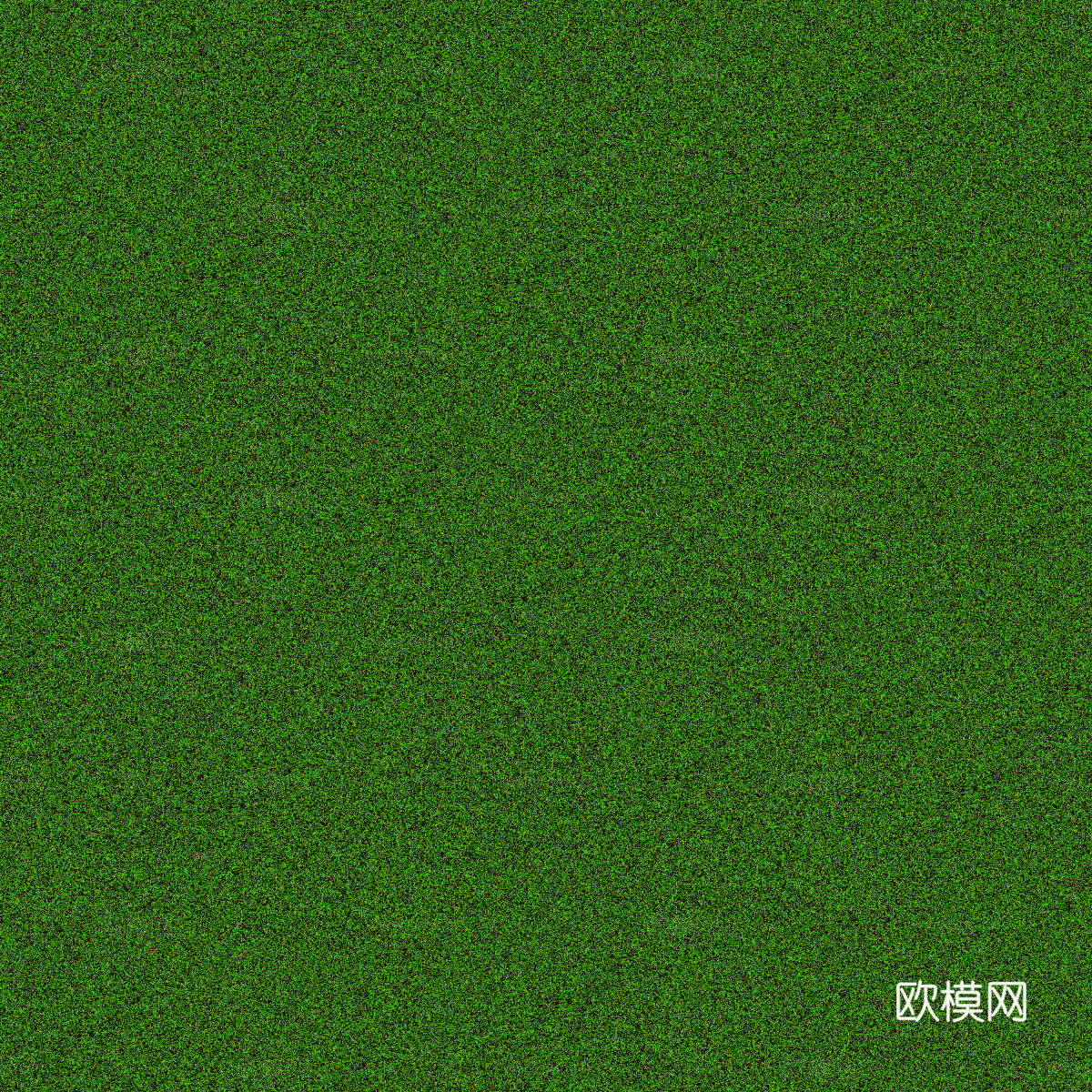 真实质感草地草坡绿地肌理纹理198下载