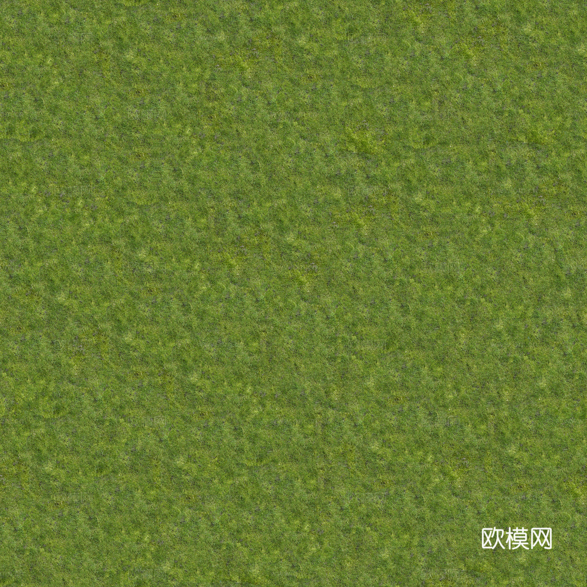 真实质感草地草坡绿地肌理纹理138