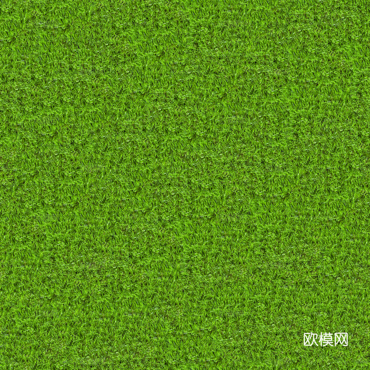 真实质感草地草坡绿地肌理纹理102下载