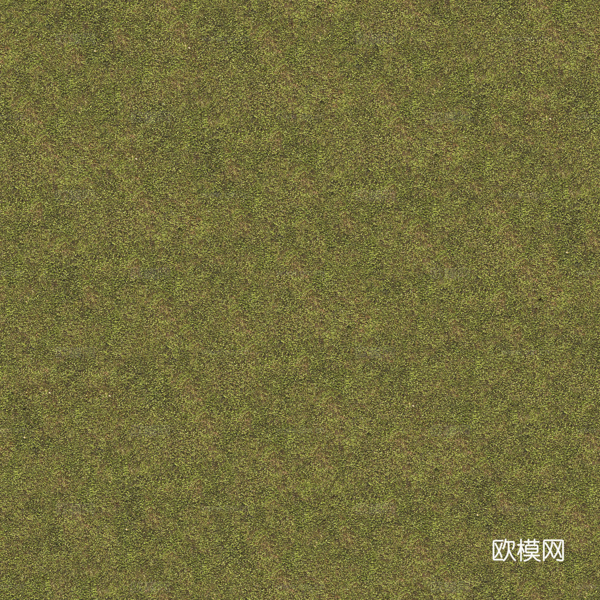 真实质感草地草坡绿地肌理纹理73