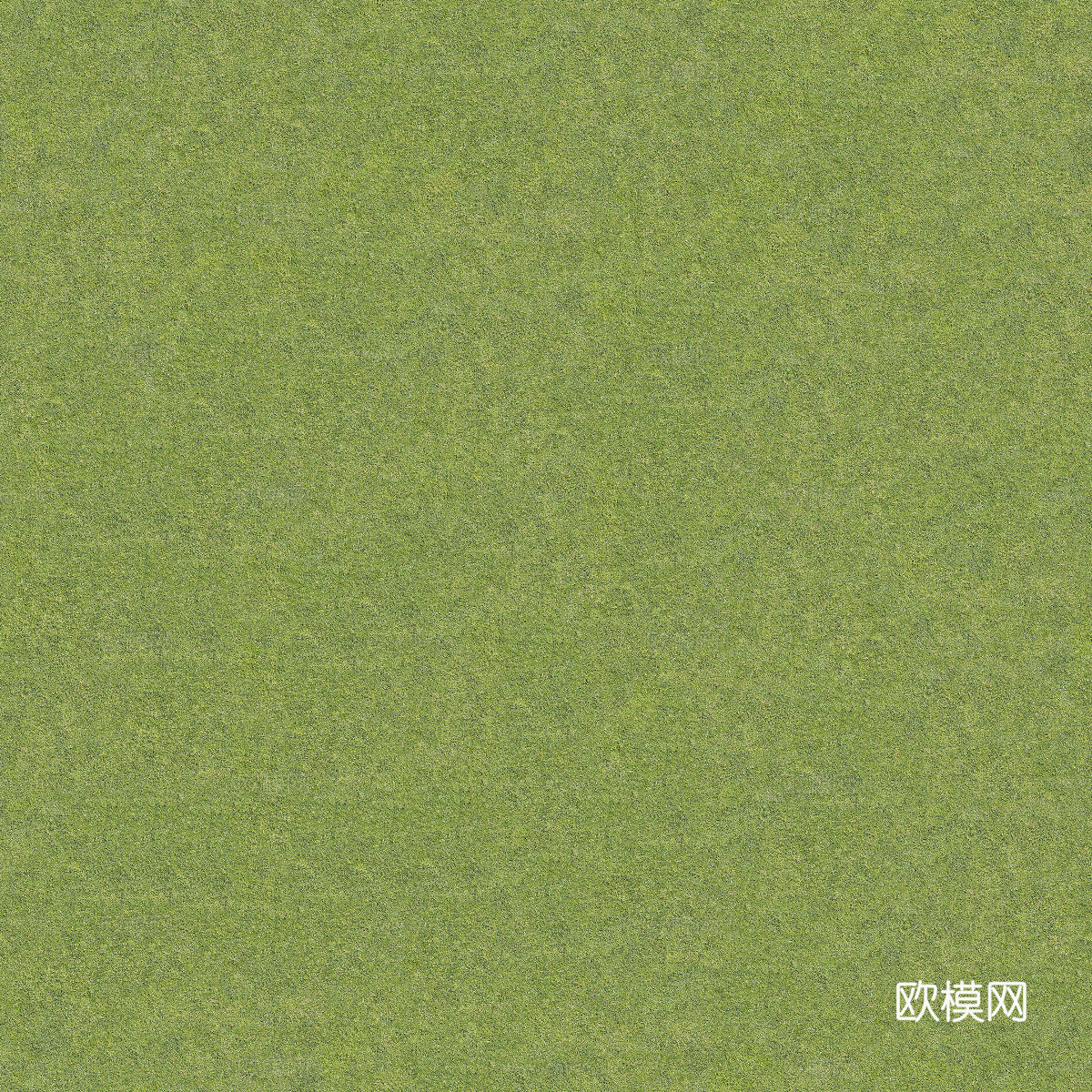 真实质感草地草坡绿地肌理纹理88