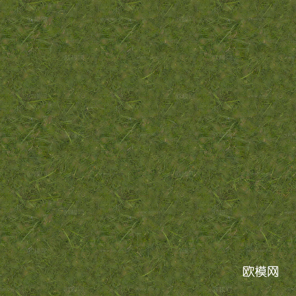 真实质感草地草坡绿地肌理纹理44