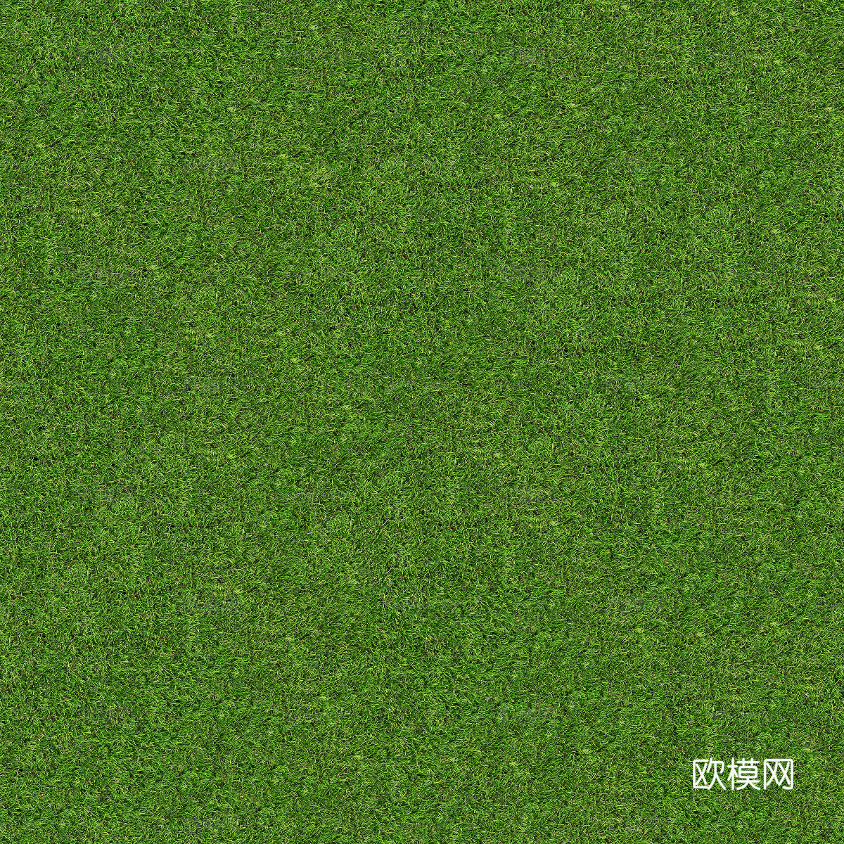 真实质感草地草坡绿地肌理纹理108