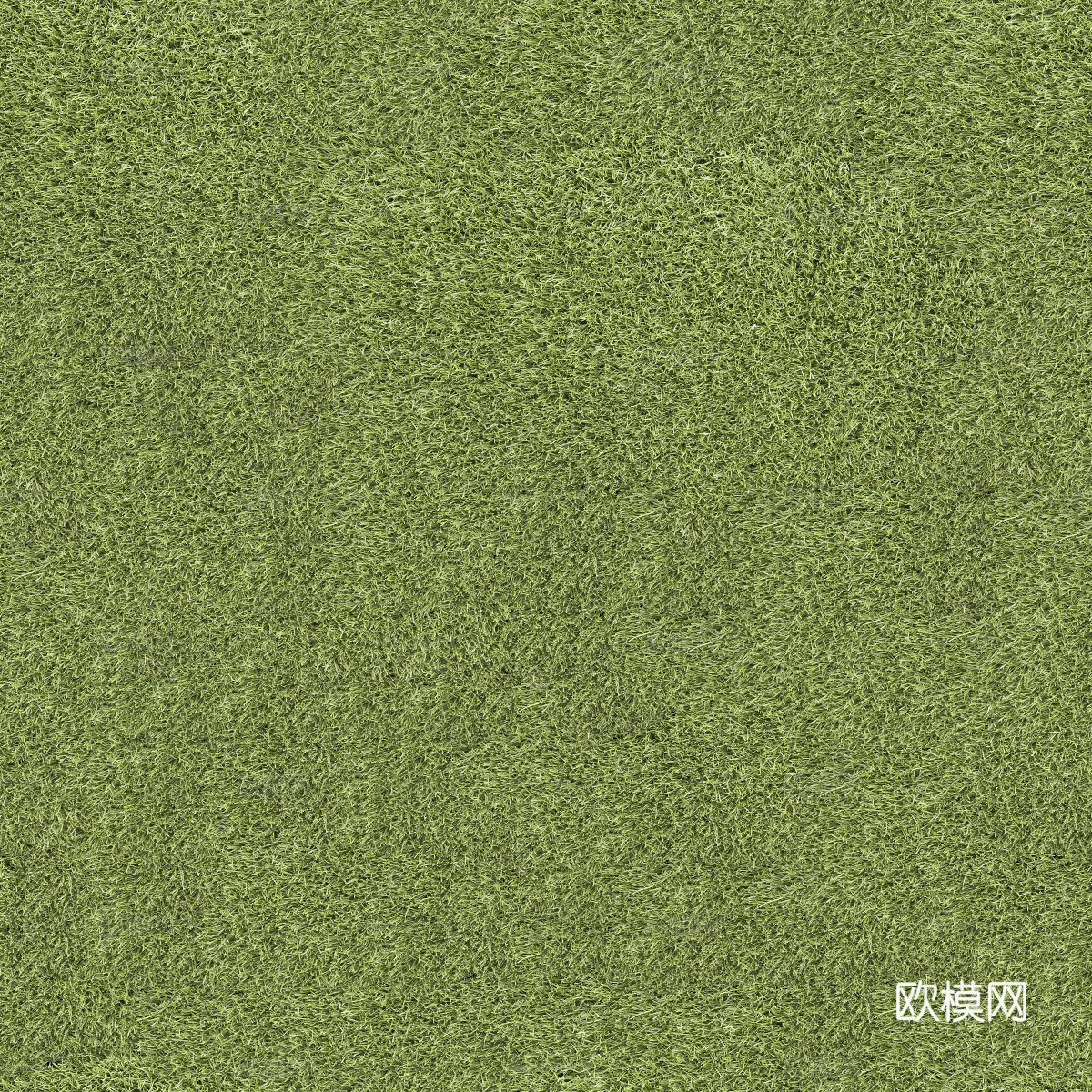 真实质感草地草坡绿地肌理纹理72下载