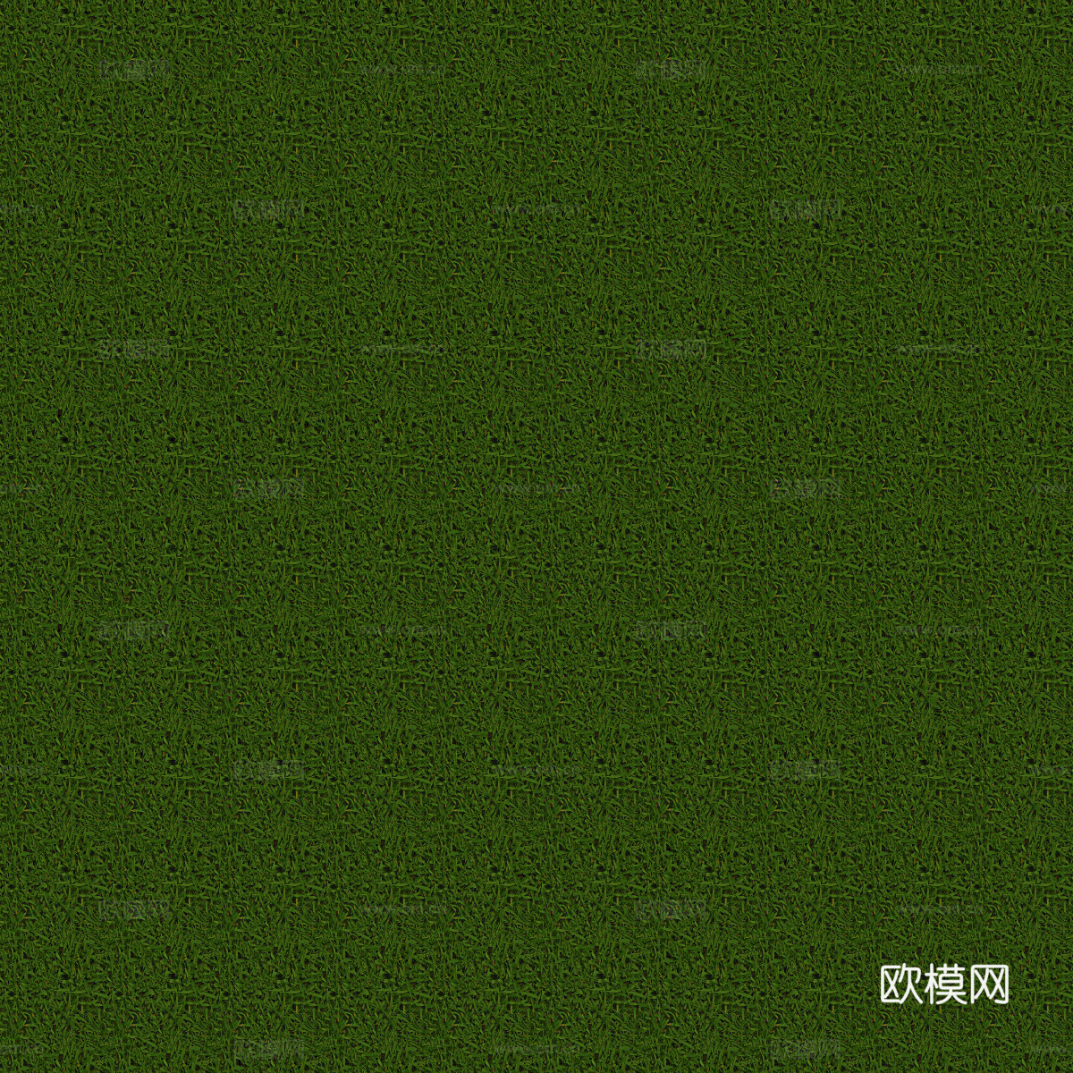 真实质感草地草坡绿地肌理纹理134