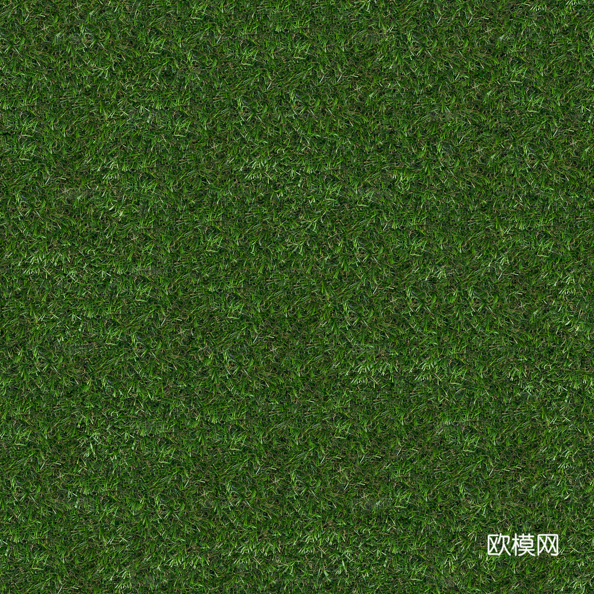 真实质感草地草坡绿地肌理纹理103