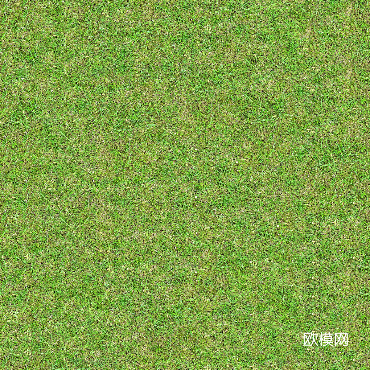 真实质感草地草坡绿地肌理纹理109