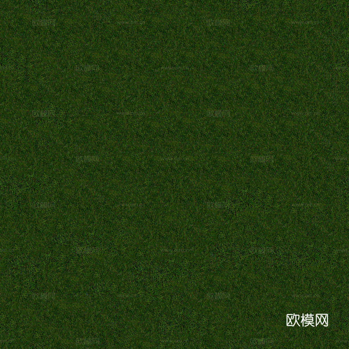 真实质感草地草坡绿地肌理纹理94