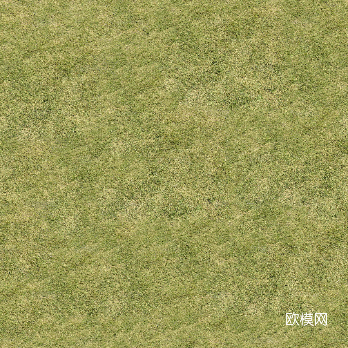 真实质感草地草坡绿地肌理纹理17