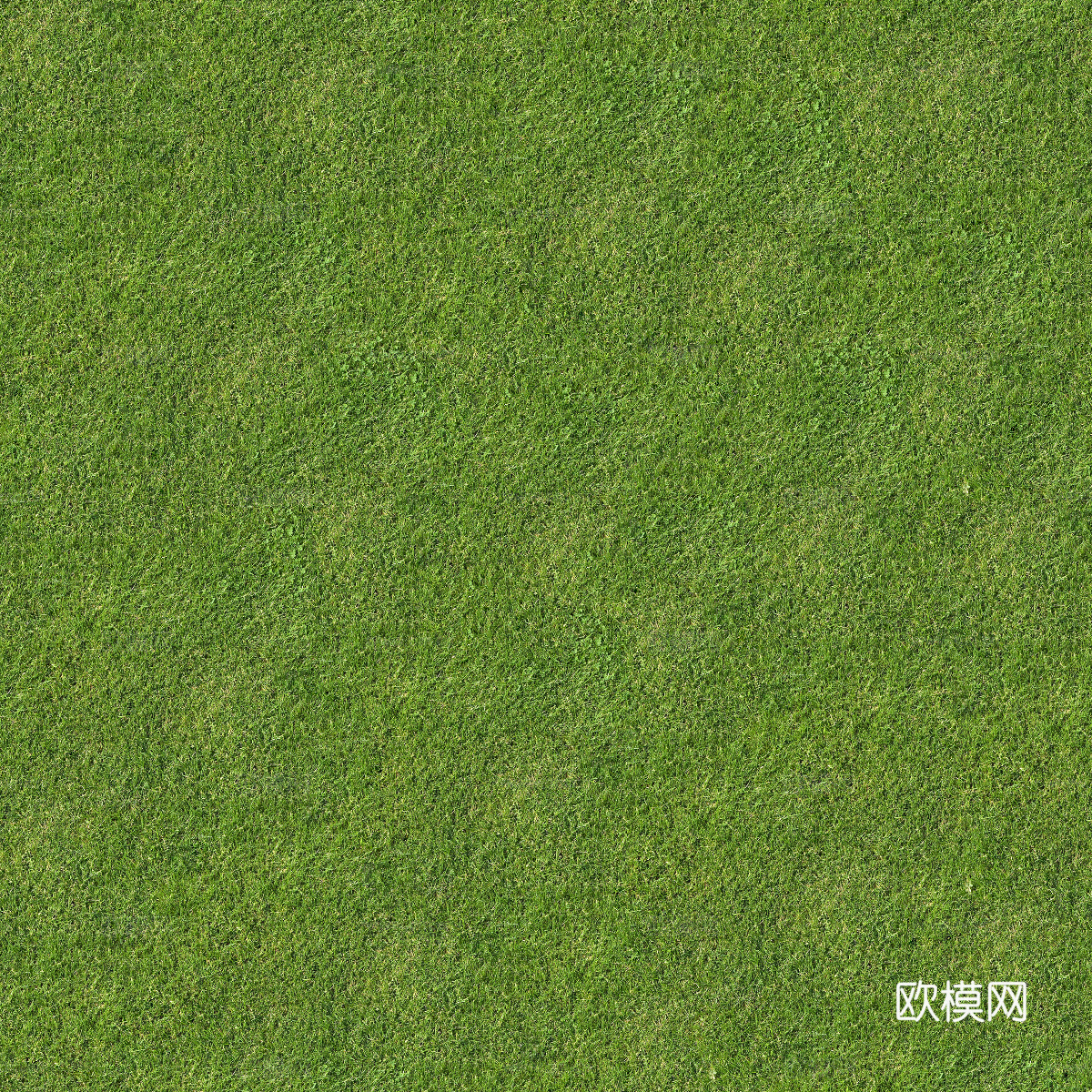 真实质感草地草坡绿地肌理纹理86下载