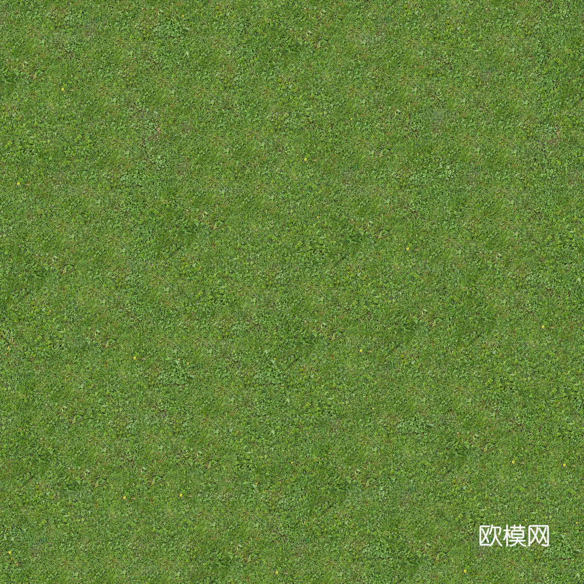 真实质感草地草坡绿地肌理纹理124下载