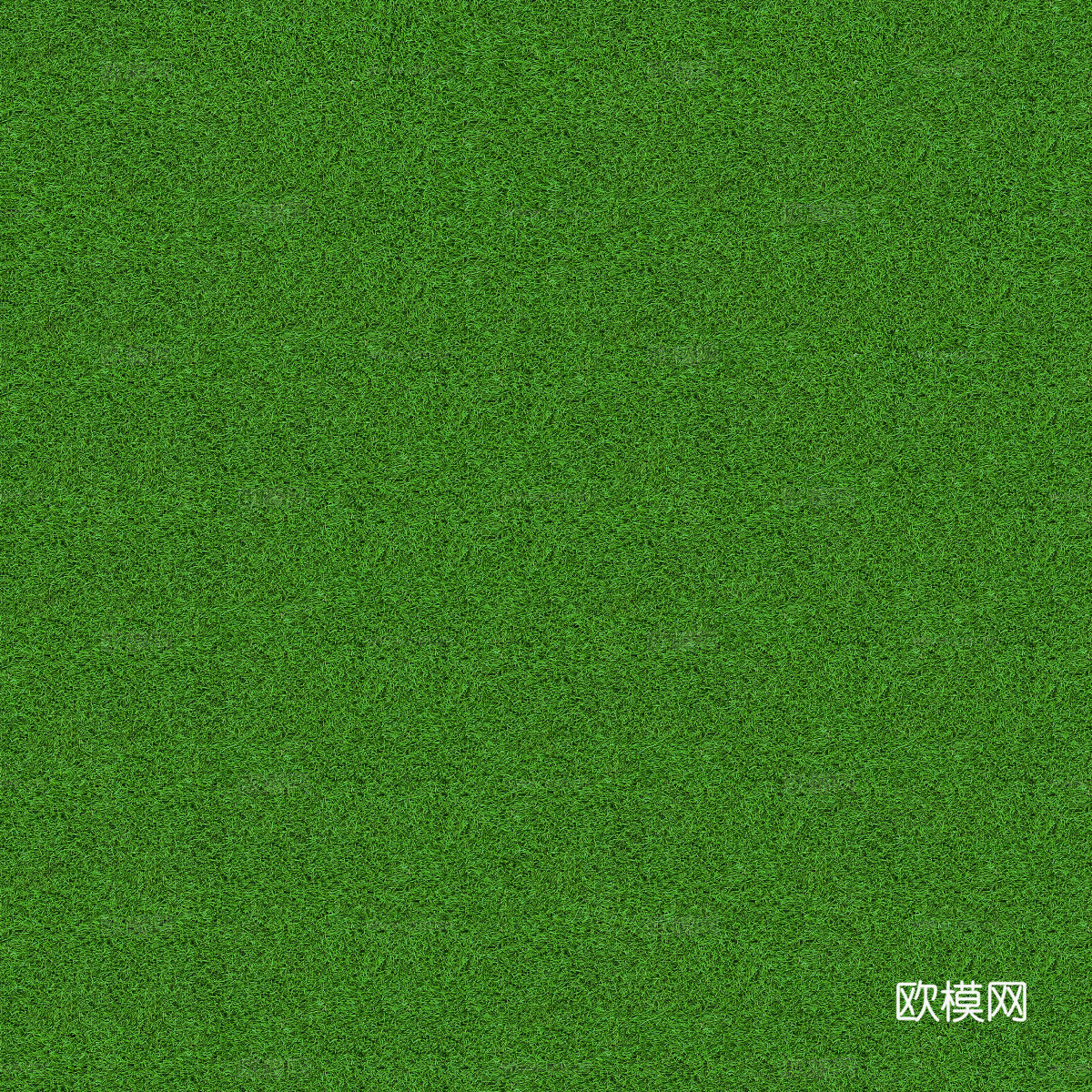 真实质感草地草坡绿地肌理纹理104下载