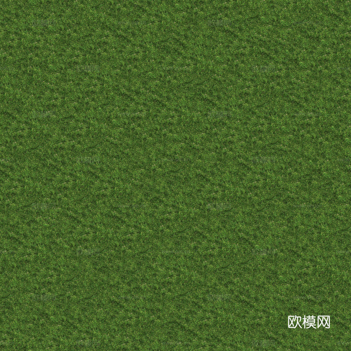 真实质感草地草坡绿地肌理纹理66